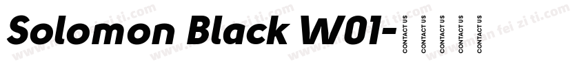 Solomon Black W01字体转换